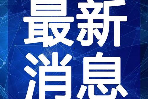 钻石宠物最新爆料视频,神秘视频揭示宠物界新潮流