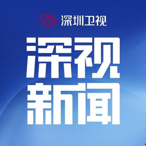 深圳市新闻爆料怎么编辑,聚焦城市热点，解码民生关切